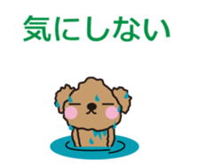 One day of Toy Poodle's cue sticker #14880148