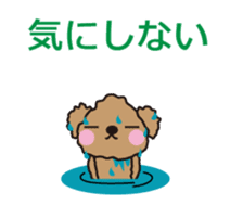 One day of Toy Poodle's cue sticker #14880148