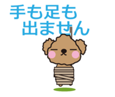 One day of Toy Poodle's cue sticker #14880149