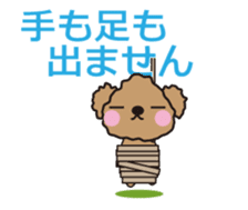 One day of Toy Poodle's cue sticker #14880149