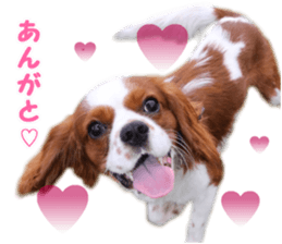 Robin! sticker #14880470