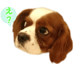 Robin! sticker #14880471