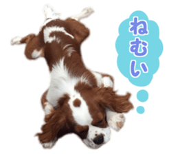 Robin! sticker #14880472