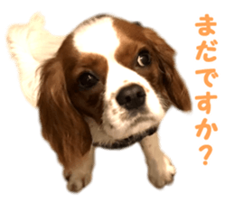 Robin! sticker #14880473