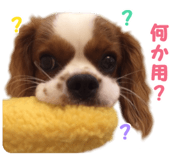 Robin! sticker #14880474