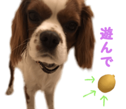 Robin! sticker #14880475