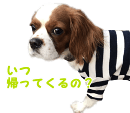 Robin! sticker #14880476