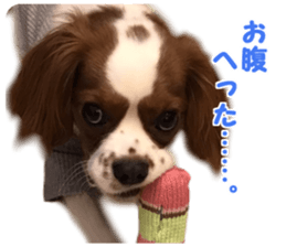 Robin! sticker #14880477