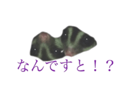 sugarglider sticker #14881488