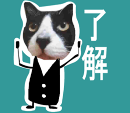 sticker japan cat&gin Photo version 7 sticker #14881567