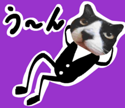 sticker japan cat&gin Photo version 7 sticker #14881568