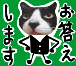sticker japan cat&gin Photo version 7 sticker #14881572