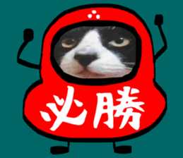 sticker japan cat&gin Photo version 7 sticker #14881575
