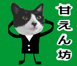 sticker japan cat&gin Photo version 7 sticker #14881576