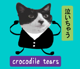 sticker japan cat&gin Photo version 7 sticker #14881582