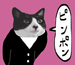 sticker japan cat&gin Photo version 7 sticker #14881583