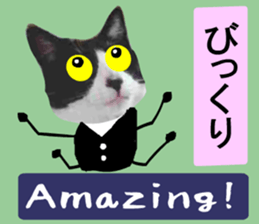sticker japan cat&gin Photo version 7 sticker #14881588