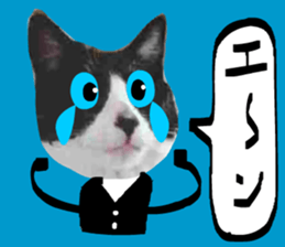 sticker japan cat&gin Photo version 7 sticker #14881589