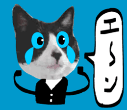 sticker japan cat&gin Photo version 7 sticker #14881589