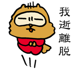 Kung Fu False Chinese Racoon Dog sticker #14882098