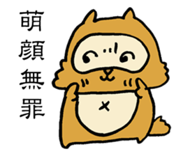 Kung Fu False Chinese Racoon Dog sticker #14882103