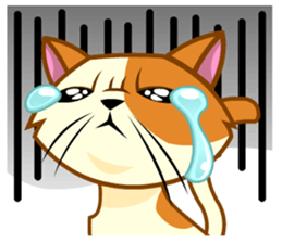 Laze cat sticker #14883296