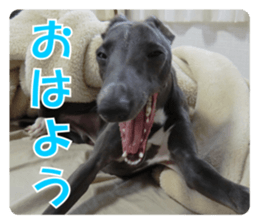 Sign Dog Ral 2 sticker #14883359