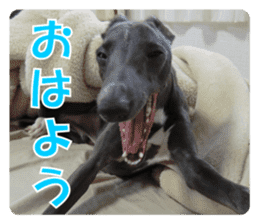 Sign Dog Ral 2 sticker #14883359