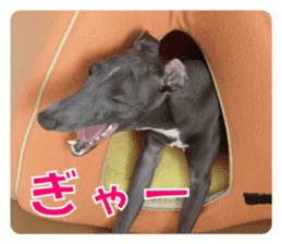 Sign Dog Ral 2 sticker #14883360