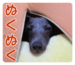 Sign Dog Ral 2 sticker #14883361