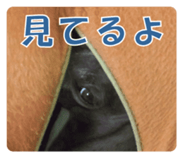 Sign Dog Ral 2 sticker #14883369