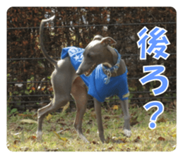 Sign Dog Ral 2 sticker #14883370