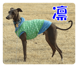 Sign Dog Ral 2 sticker #14883380