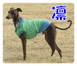 Sign Dog Ral 2 sticker #14883380