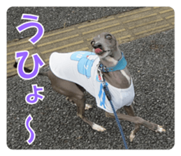 Sign Dog Ral 2 sticker #14883384