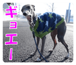 Sign Dog Ral 2 sticker #14883387