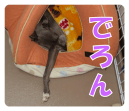 Sign Dog Ral 2 sticker #14883388