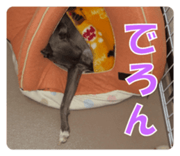 Sign Dog Ral 2 sticker #14883388