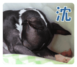 Sub Sign Dog Fia 2 sticker #14883575