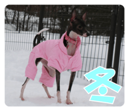 Sub Sign Dog Fia 2 sticker #14883576