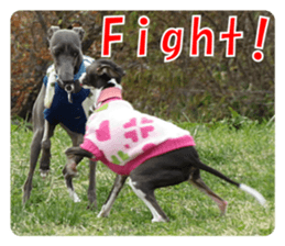 Sub Sign Dog Fia 2 sticker #14883581