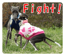 Sub Sign Dog Fia 2 sticker #14883581