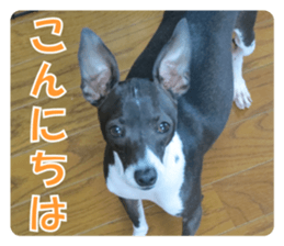 Sub Sign Dog Fia 2 sticker #14883583