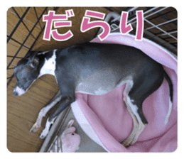 Sub Sign Dog Fia 2 sticker #14883585