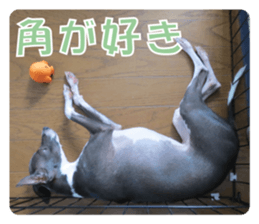 Sub Sign Dog Fia 2 sticker #14883589