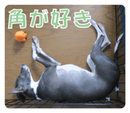 Sub Sign Dog Fia 2 sticker #14883589