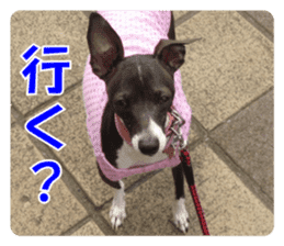 Sub Sign Dog Fia 2 sticker #14883598