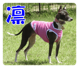 Sub Sign Dog Fia 2 sticker #14883599