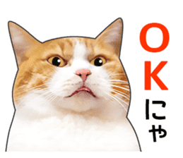 Happy orange and white tabby cats sticker #14883609