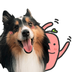 Red Bean and Black Nu. 02